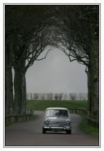 Austin Mini Cooper S Rally 1964 года